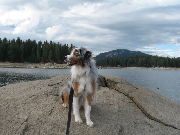 Shaver Lake, California