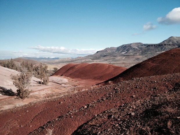 More of Painted Hills!