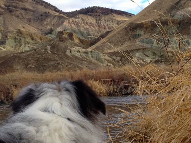 John Day Fossil Beds National Monument