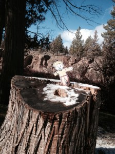 Flat Stanley showing off at Tumalo State Park