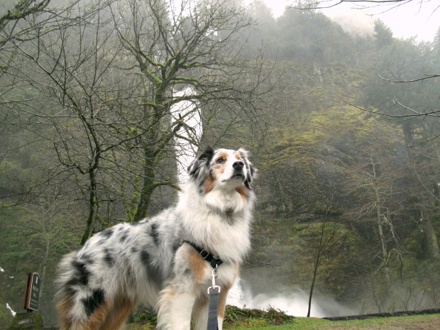 crazy loud behind me