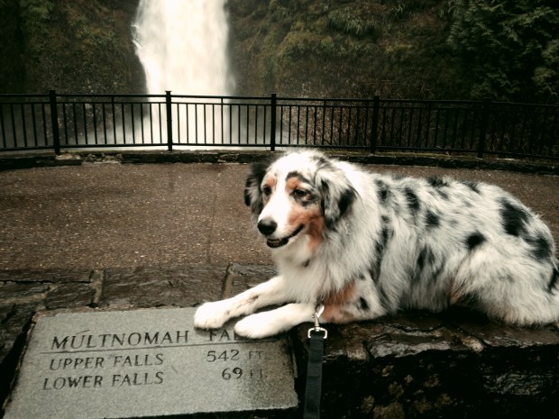 me at the base of Multnomah