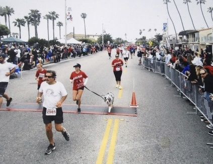 so close... so far...