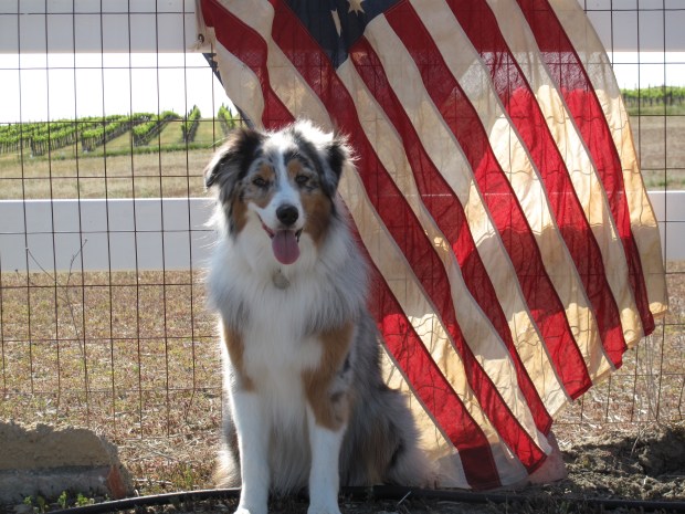 Ready for road trip USA!