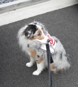 geared up - let's go!