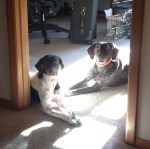 what? ...just chilling in the sun