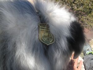 Junior Park Ranger badge