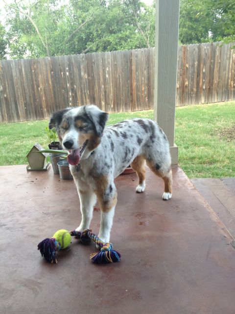 please don't take my picture!