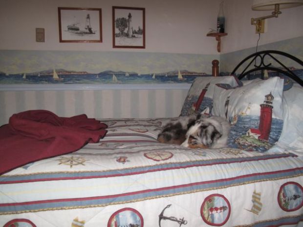 dreaming of lighthouse