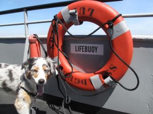 I hope we don't have to use this