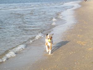 mouthball on Lewes beach