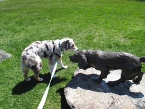 This guy wouldn't move a muscle and he also smelled kind of weird