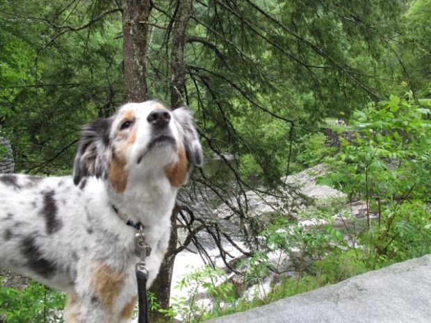 Did you catch a whiff?