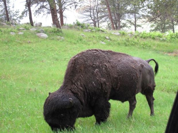 Don't worry, we were in the car!