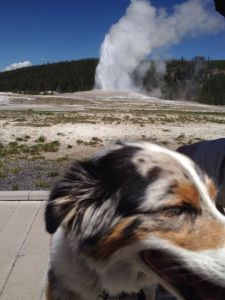 Looks bigger in person!  Spray was in my eyes...