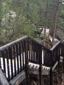 pres trail at rushmore