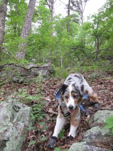 my version of rock climbing...