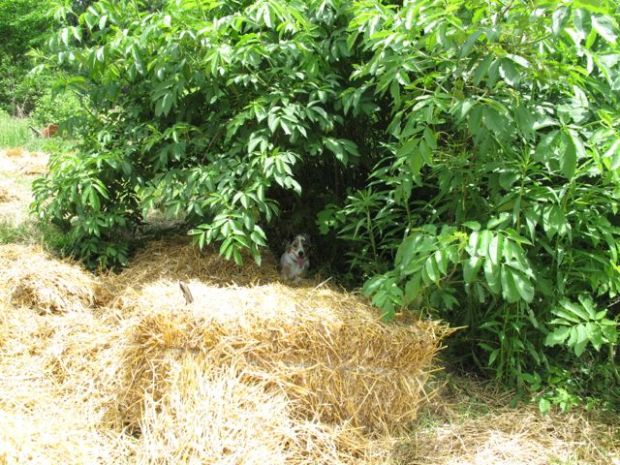 I'm right here if you need me!