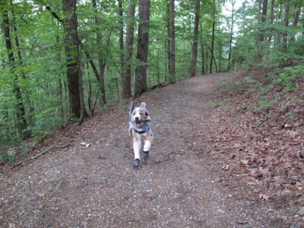 Hey, watch this trick!