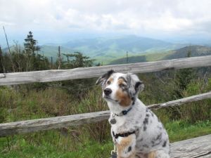 Is it time for lunch?