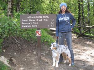 what does that red line mean?