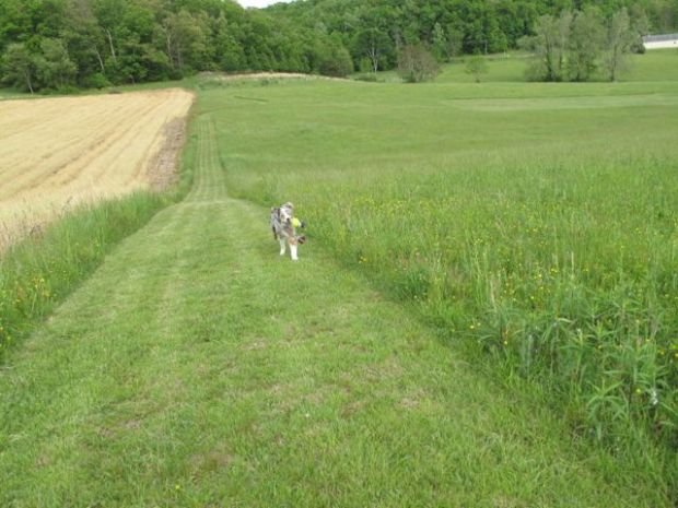 come check out my playground