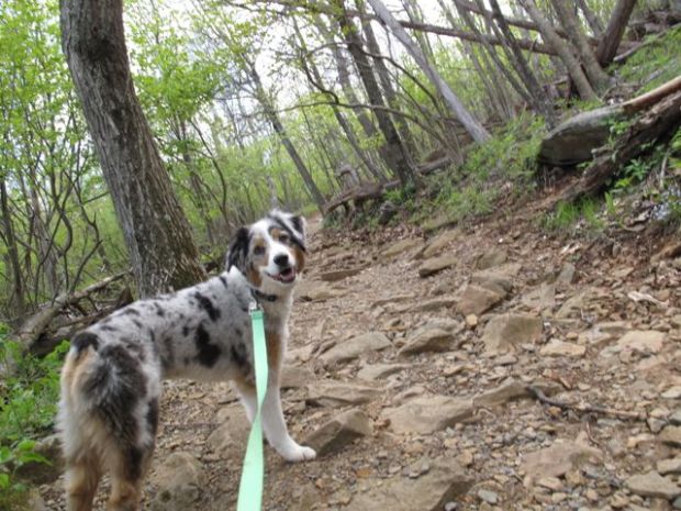 here's another great trail!