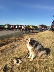 cyclists behind me